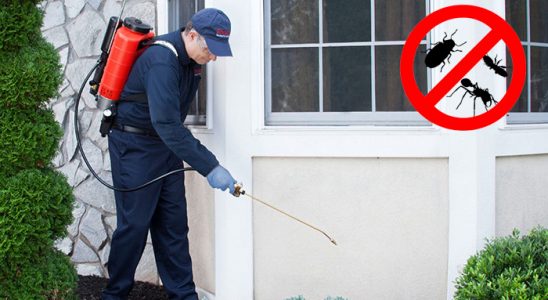 Ordu Böcek İlaçlama böcek ilaçlama ve haşere kontrolü — ilaclama-tr.com